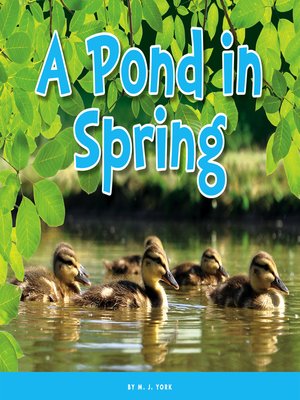 cover image of A Pond in Spring